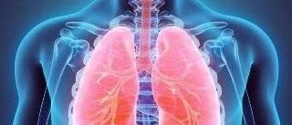 全民养肺，最全的养肺方法送给你！