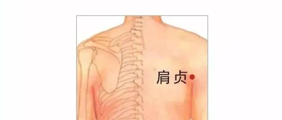 肩井穴——缓解肩部酸痛、肩周炎，肩部不痛真轻松！