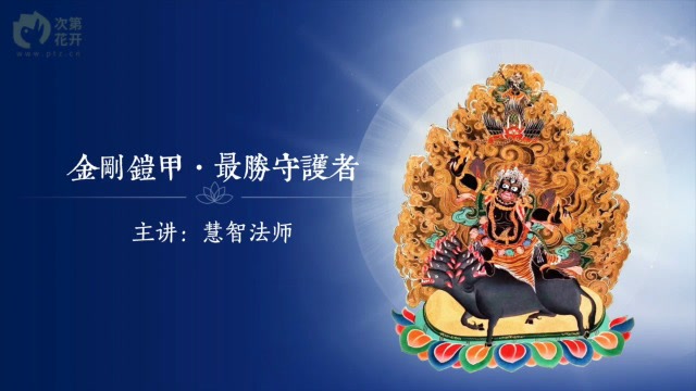 《金刚铠甲 · 最胜守护者》