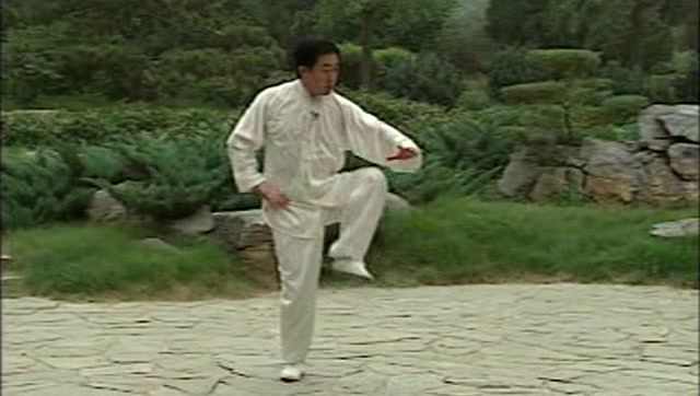 形意拳杂式捶详解