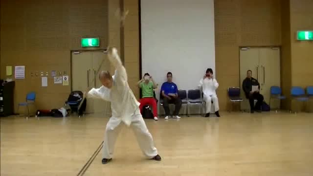 形意拳爱好者演练的形意梅花枪，看看练的如何？