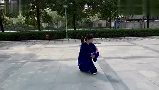 全能冠军慢动作演示56式