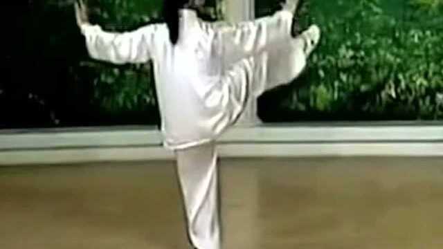 太极拳初学入门教学视频表演