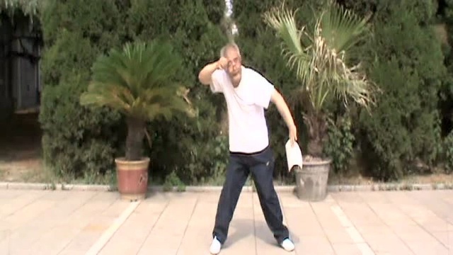 李春光形意拳教学视频：十二形鸡形