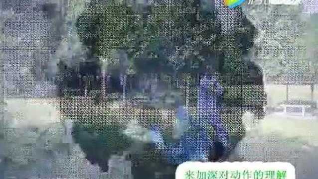 太极拳快速入门术