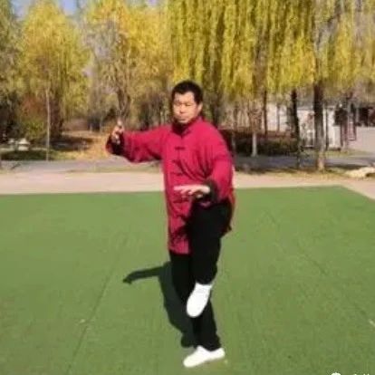 【和美视频】传统杨式三十九式快拳
