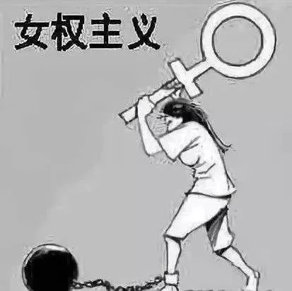 中华田园女权的危害
