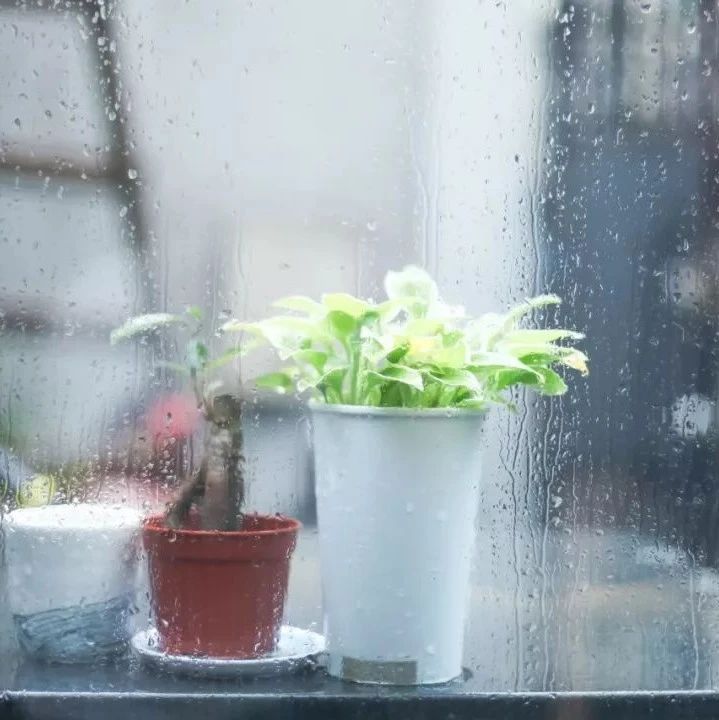 最缠绵的4首落雨诗词：静听雨打窗台，等一人归来。