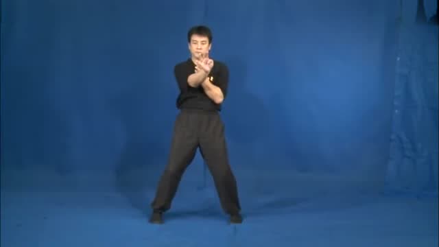 咏春拳套路实用教学之寻桥第一讲