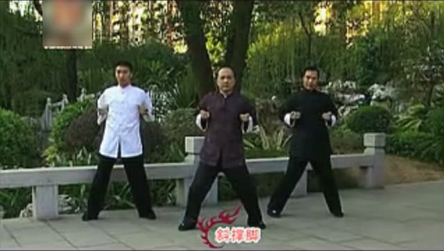 学拳就学咏春拳一一咏春教学视频