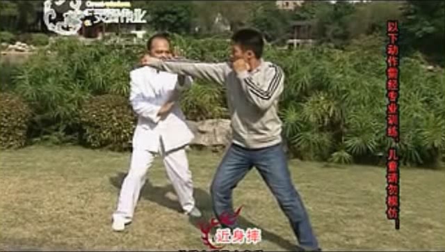 学拳就学咏春拳一一咏春教学视频7