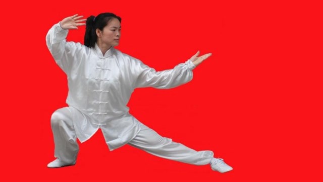 太极拳之母十三势