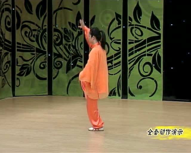 邱慧芳48式太极拳背面慢动作演示