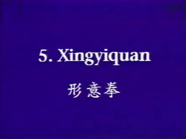 形意拳套路演练