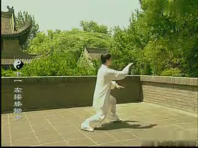 85太极拳重点点拨