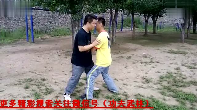 难得一见的八卦掌推手视频