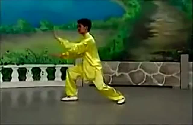 42式太极拳口令， 42式太极拳背向演练，口令版