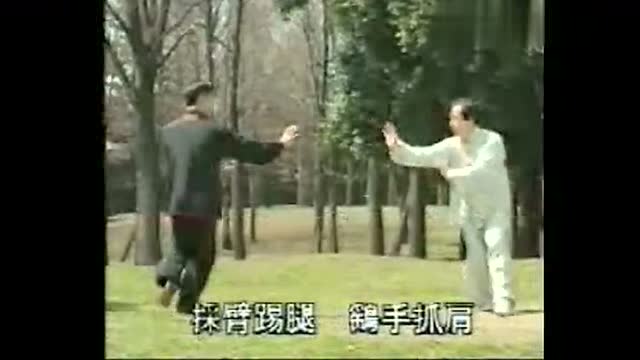 精彩收藏版！冯正宝八卦掌实战讲解教学