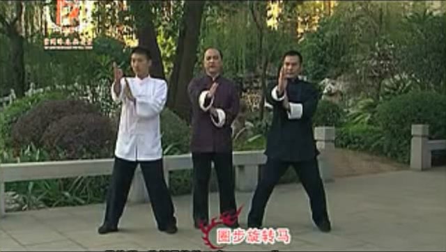 学拳就学咏春拳一一咏春拳教学视频