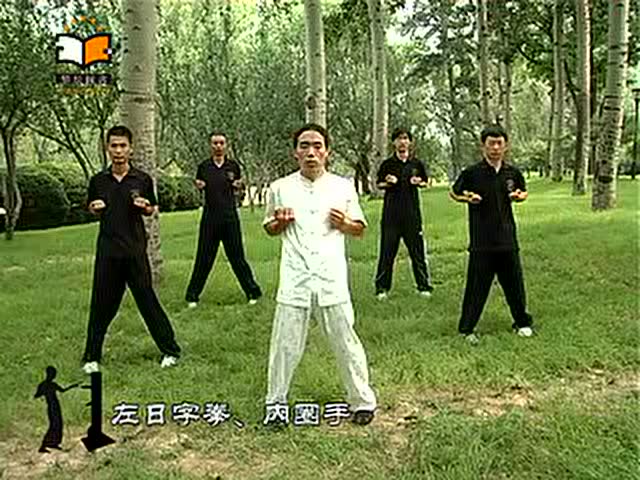 咏春拳—入门必学招式