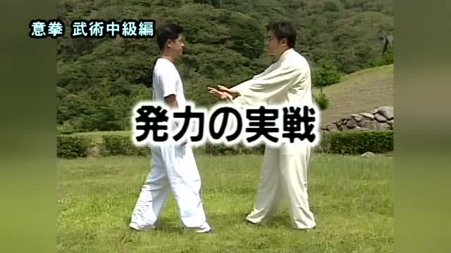 好不容易找到的原版日本意拳视频教程-武大咖