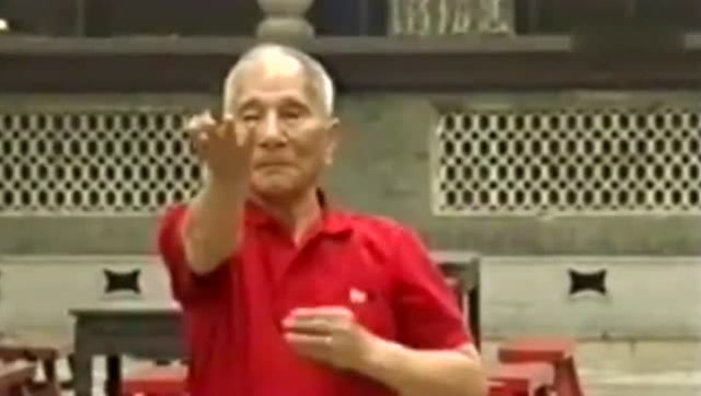 叶问之子叶准示范，最正宗的咏春拳