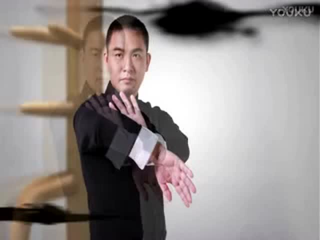叶问咏春拳实战技巧---梁子权