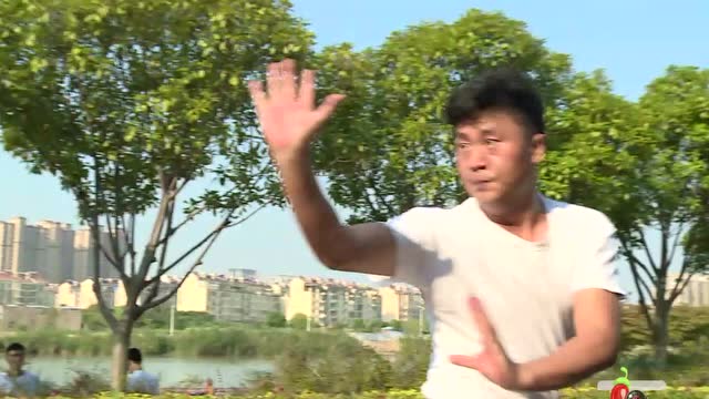 形意拳全国冠军，实力超群！