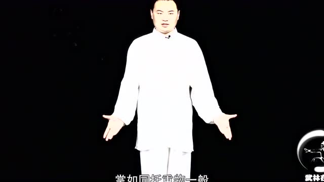 云石居士讲解八卦掌：起势