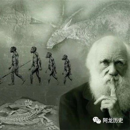 20万年前的“人类”惊现广西 日本教授惊叹这是我们的祖先