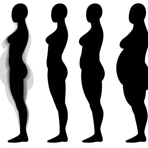 上身胖是脾胃不好，下身胖是肝胆不好，肚子胖是什么？