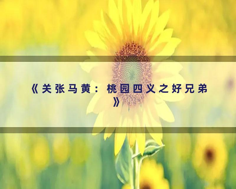 《关张马黄：桃园四义之好兄弟》