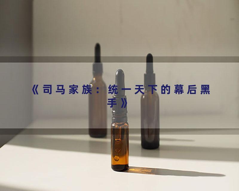 《司马家族：统一天下的幕后黑手》