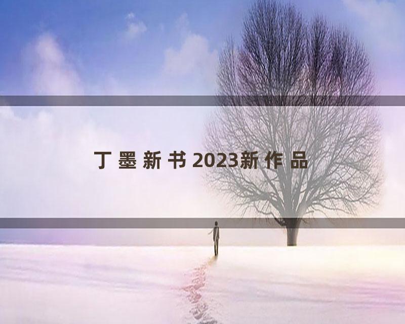 丁墨新书2023新作品