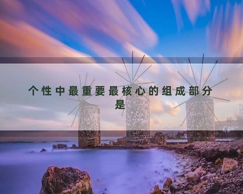 个性中最重要最核心的组成部分是