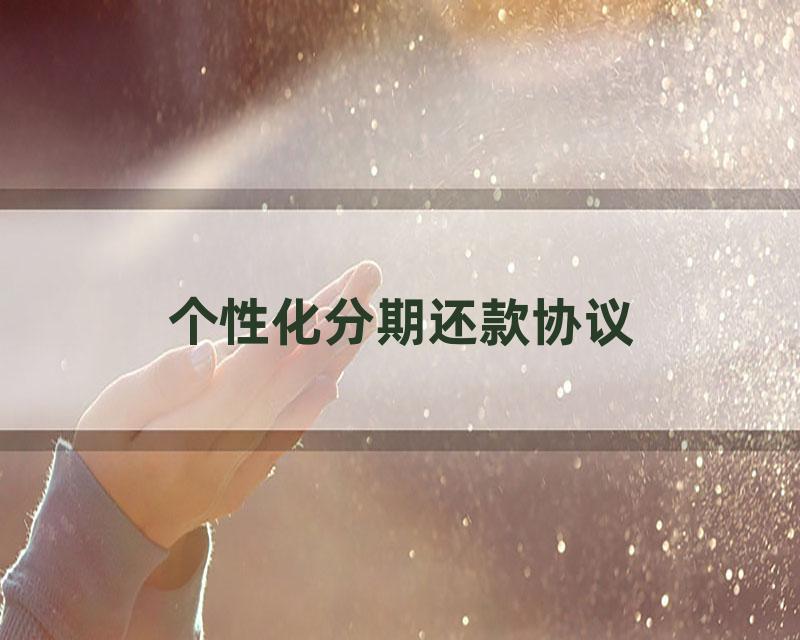 个性化分期还款协议