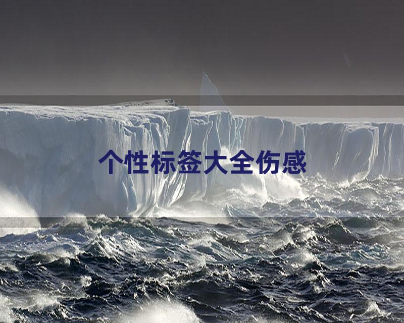 个性标签大全伤感