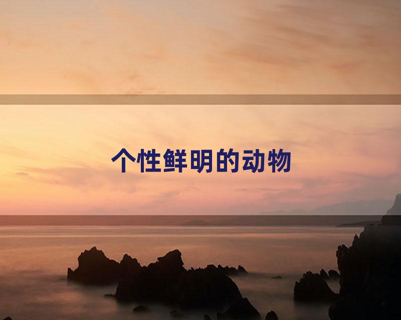 个性鲜明的动物