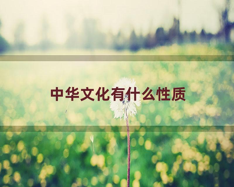 中华文化有什么性质