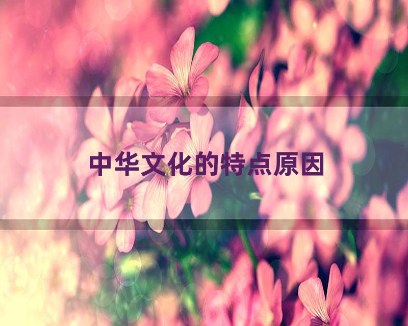 中华文化的特点原因