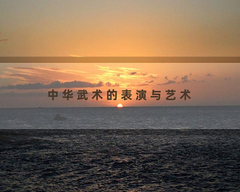 中华武术的表演与艺术