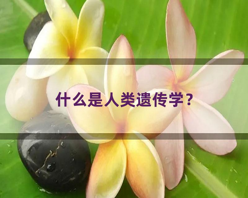 什么是人类遗传学？