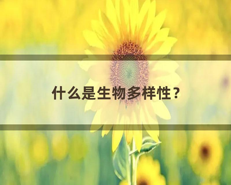 什么是生物多样性？