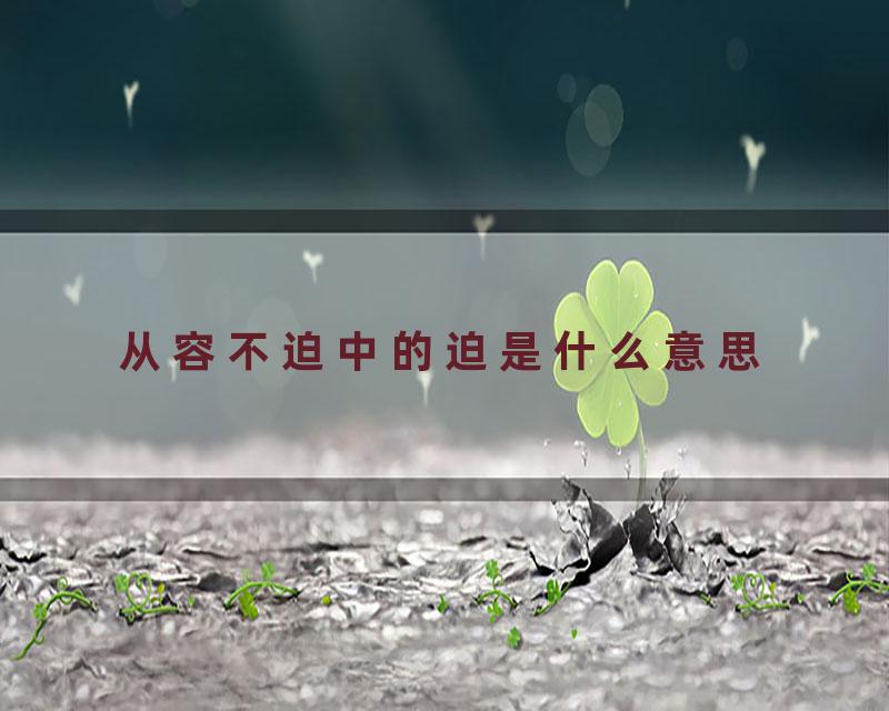 从容不迫中的迫是什么意思