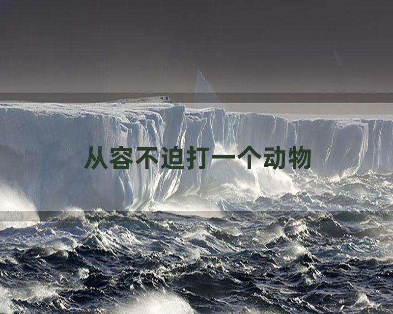 从容不迫打一个动物