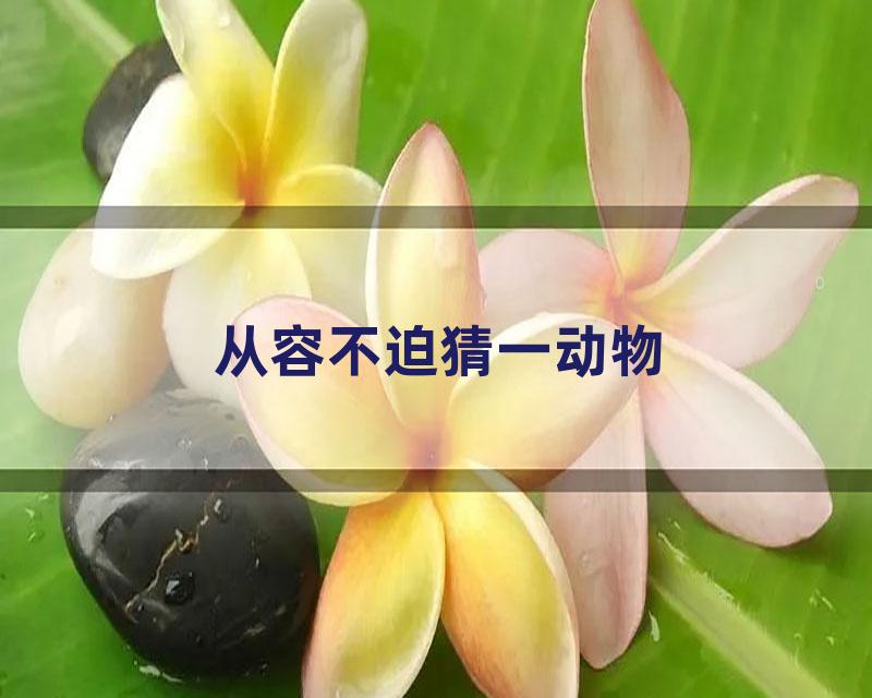 从容不迫猜一动物