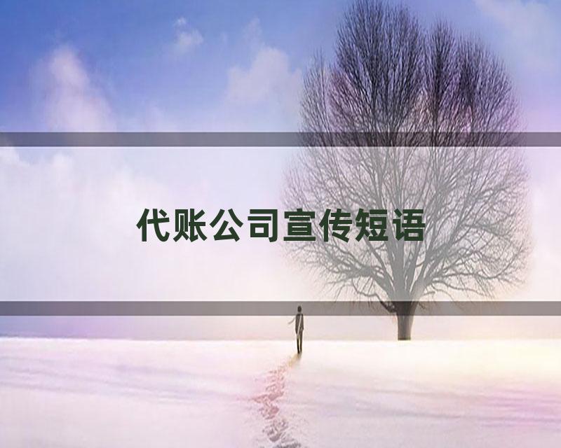 代账公司宣传短语