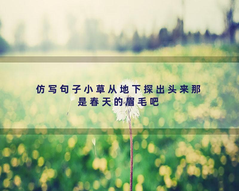 仿写句子小草从地下探出头来那是春天的眉毛吧