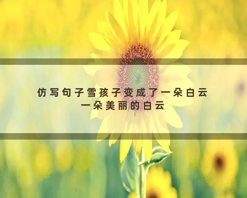 仿写句子雪孩子变成了一朵白云一朵美丽的白云