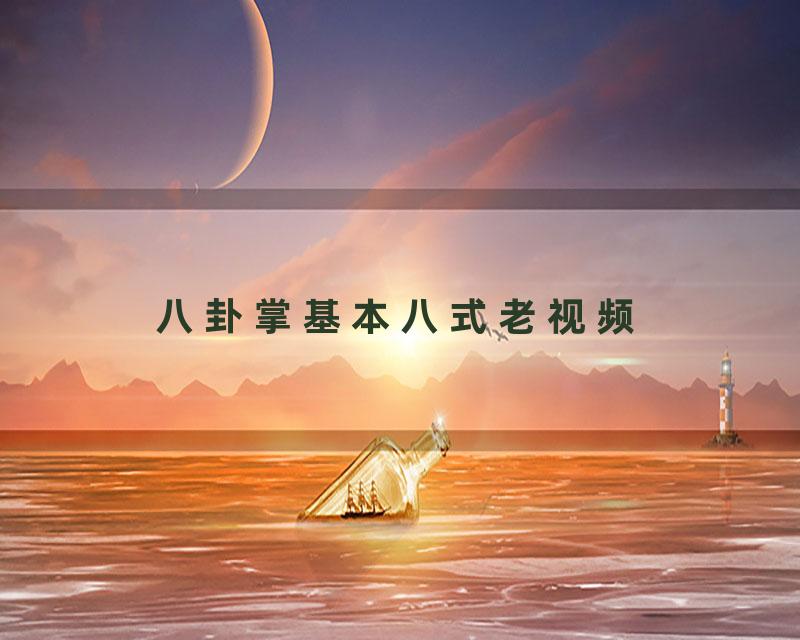 八卦掌基本八式老视频